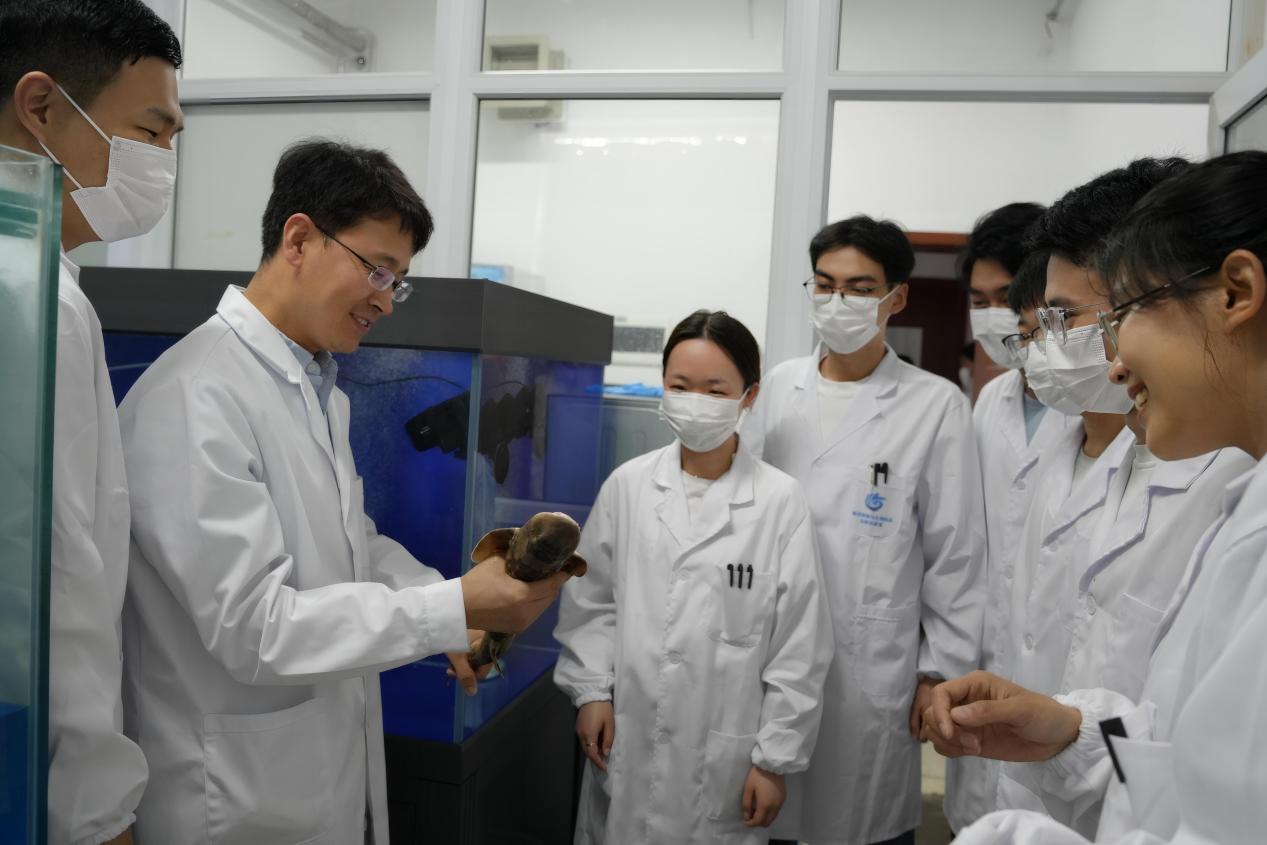 顾玉超教授(左二)指导员工做鲨鱼免疫实验。受访者供图